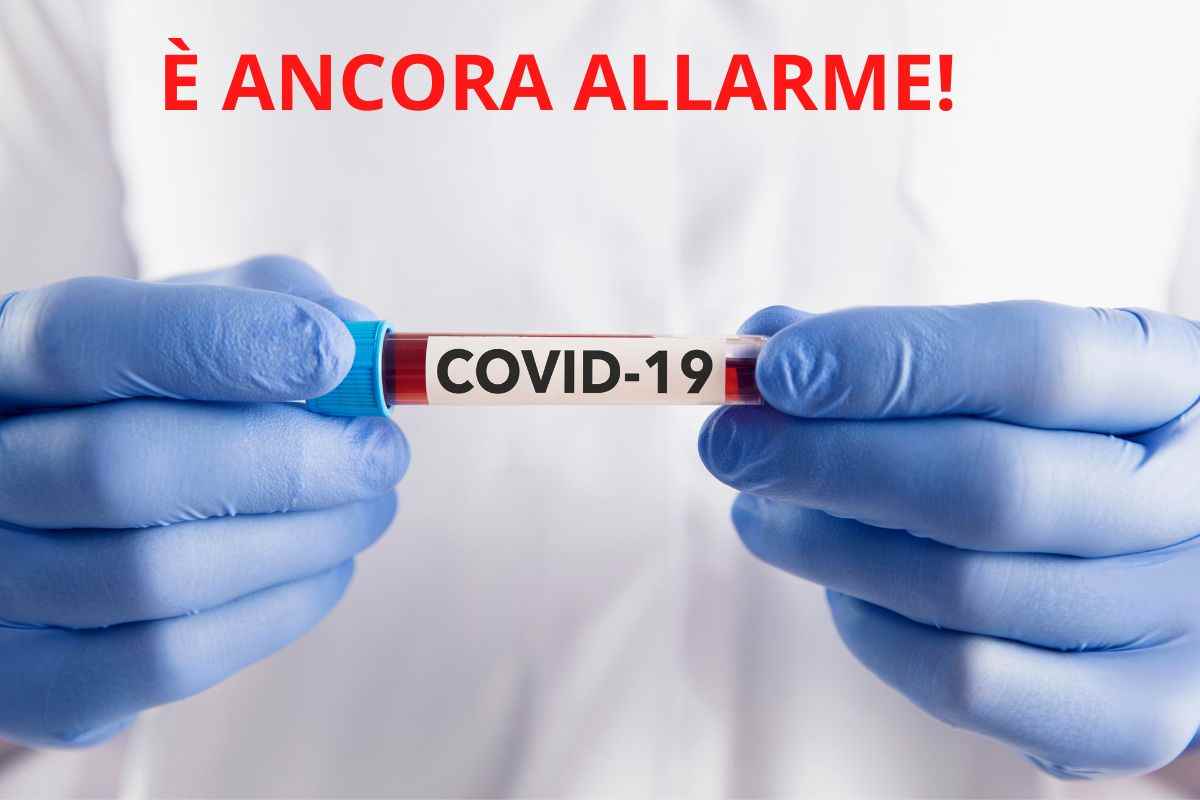 allarme Covid