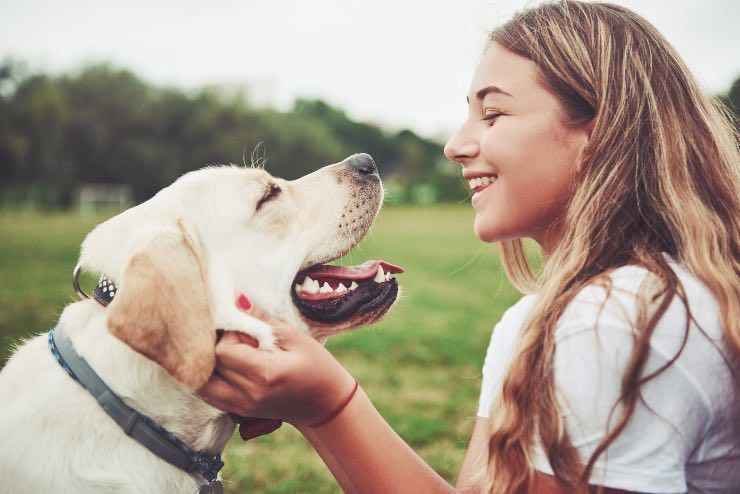 cani, ecco le razze più fedeli 