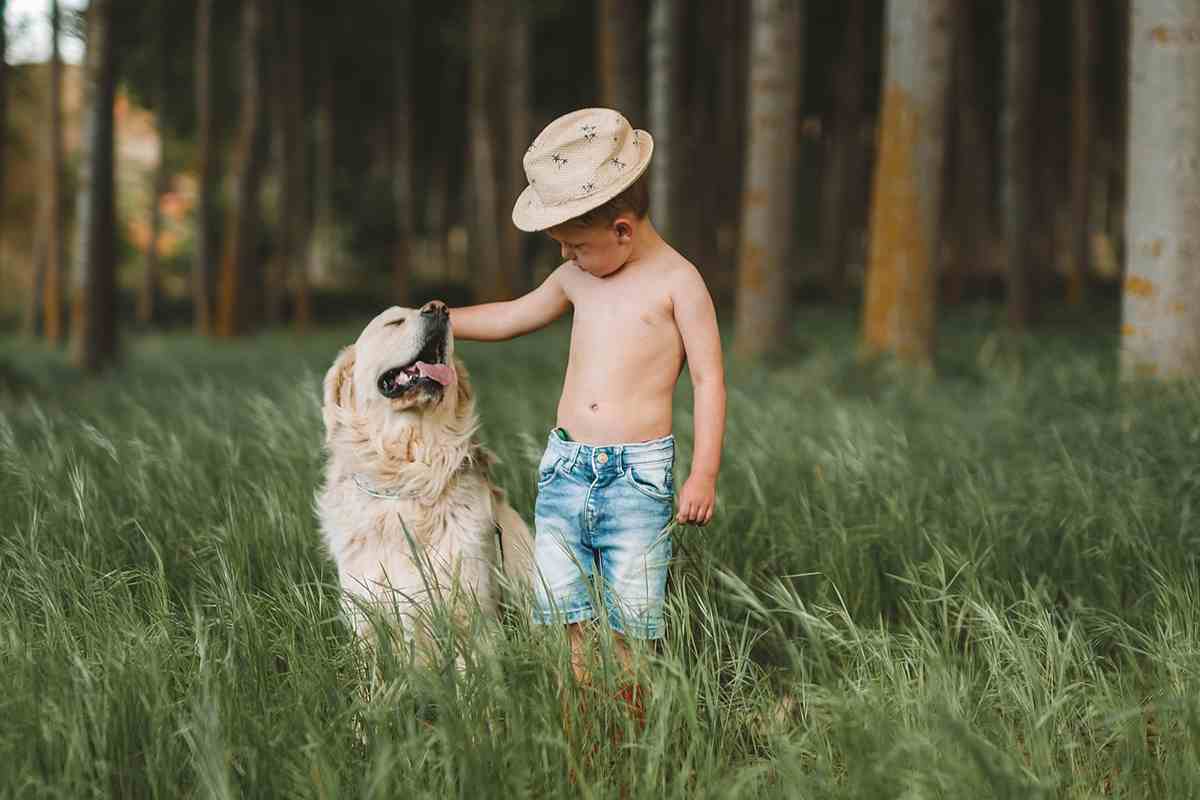 Cani, ecco le razze più fedeli