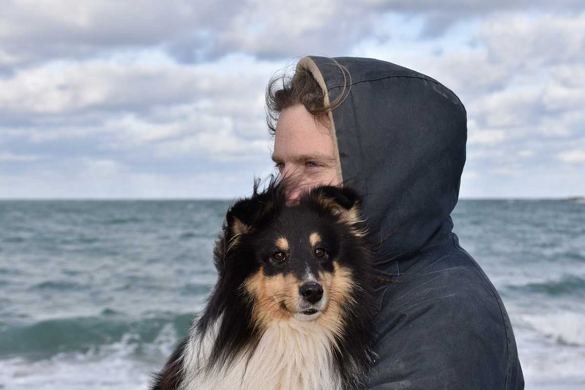 Cani, ecco le razze più fedeli