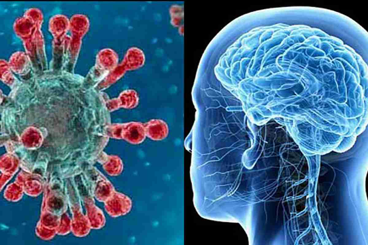 Quali effetti sul cervello a lungo andare per chi ha subito il Covid?