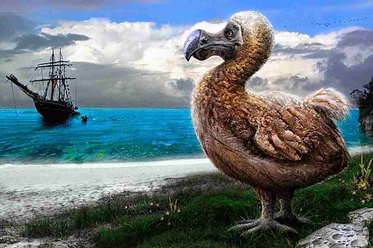 dodo, scienziati possono resuscitare l'uccello