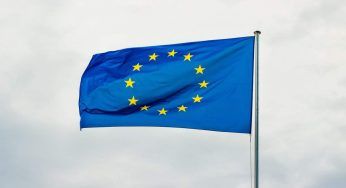 La Commissione europea mette un limite sugli animali: non si possono macellare