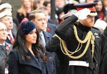 Harry e Meghan batosta
