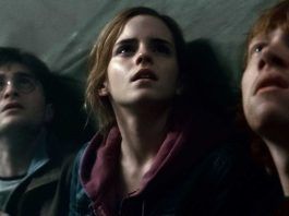 harry potter muore protagonista