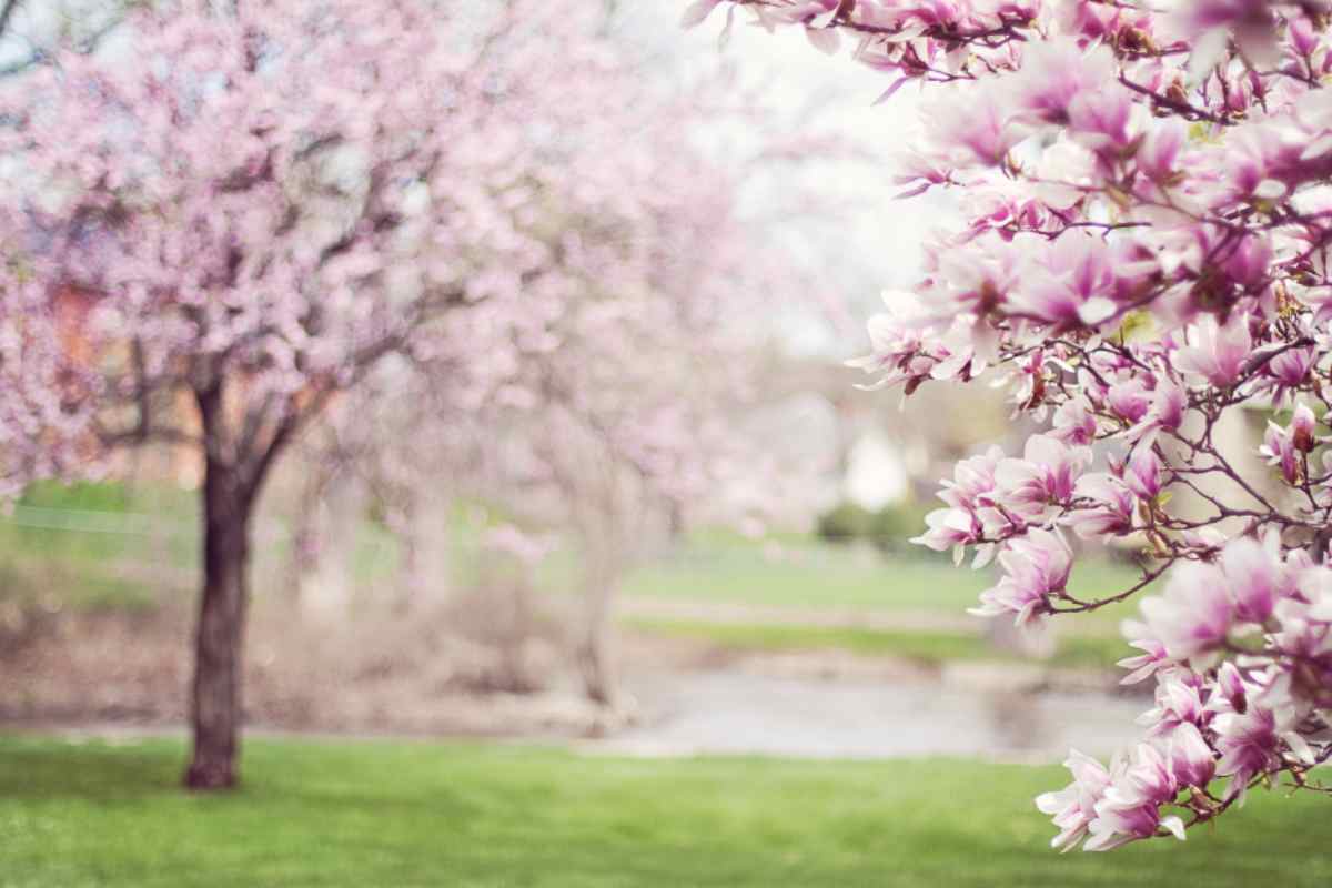 Perchè la primavera è la stagione dell'amore?