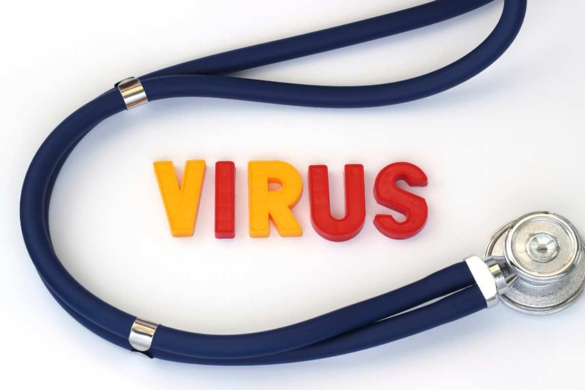 allarme nuovo virus 