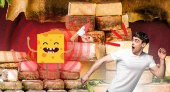 È il formaggio più pericoloso del mondo, lo fanno in Italia: i dettagli sulla lavorazione non ti faranno dormire