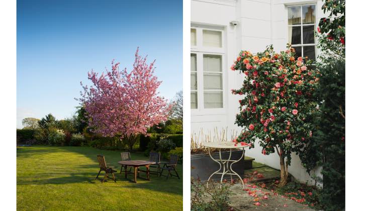 Vivere al piano terra e giardino i vantaggi